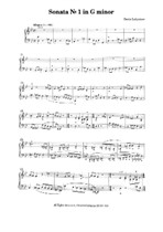 Sonata Allegro in g-moll